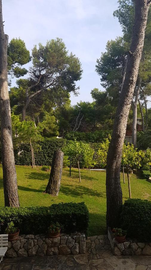 Apartamento Salou Vistas Mar - Piscina エクステリア 写真